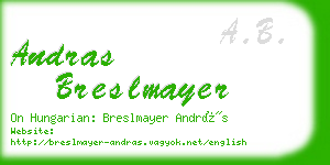 andras breslmayer business card